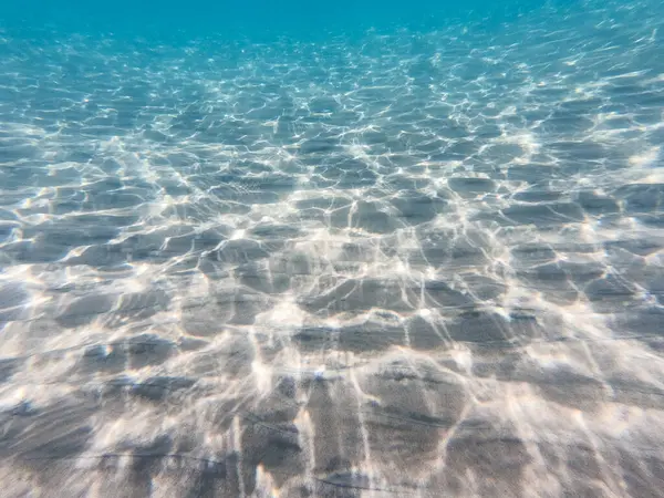 Kumlu Deniz Dibi Deniz Yaşamı Sualtı Geçmişi Temiz — Stok fotoğraf