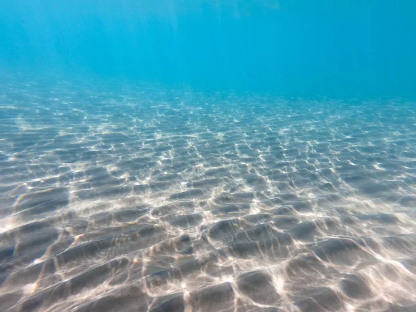 Sandy Sea Bottom Marine Life Underwater Background Clear Water — Stock Photo, Image