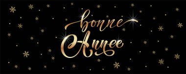 Joyeux Noel ve Bonee Anne. Fransızca selamlarla dolu mutlu noel kartı şablonları. El çizimi harfler. Mutlu Noeller kartı tasarımı için tipografik metin içeren premium vektör çizimi