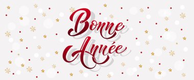 Joyeux Noel ve Bonee Anne. Fransızca selamlarla dolu mutlu noel kartı şablonları. El çizimi harfler. Mutlu Noeller kartı tasarımı için tipografik metin içeren premium vektör çizimi