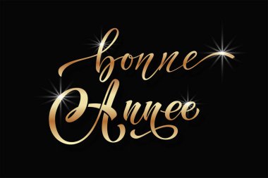 Joyeux Noel ve Bonee Anne. Fransızca selamlarla dolu mutlu noel kartı şablonları. El çizimi harfler. Mutlu Noeller kartı tasarımı için tipografik metin içeren premium vektör çizimi