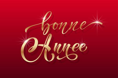 Joyeux Noel ve Bonee Anne. Fransızca selamlarla dolu mutlu noel kartı şablonları. El çizimi harfler. Mutlu Noeller kartı tasarımı için tipografik metin içeren premium vektör çizimi