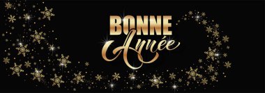 Joyeux Noel ve Bonee Anne. Fransızca selamlarla dolu mutlu noel kartı şablonları. El çizimi harfler. Mutlu Noeller kartı tasarımı için tipografik metin içeren premium vektör çizimi