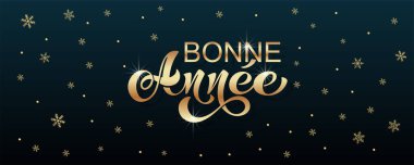 Joyeux Noel ve Bonee Anne. Fransızca selamlarla dolu mutlu noel kartı şablonları. El çizimi harfler. Mutlu Noeller kartı tasarımı için tipografik metin içeren premium vektör çizimi