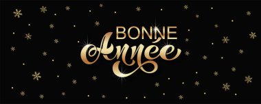 Joyeux Noel ve Bonee Anne. Fransızca selamlarla dolu mutlu noel kartı şablonları. El çizimi harfler. Mutlu Noeller kartı tasarımı için tipografik metin içeren premium vektör çizimi