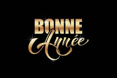 Joyeux Noel ve Bonee Anne. Fransızca selamlarla dolu mutlu noel kartı şablonları. El çizimi harfler. Mutlu Noeller kartı tasarımı için tipografik metin içeren premium vektör çizimi