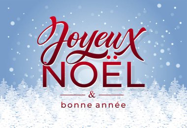 Joyeux Noel ve Bonee Anne. Fransızca selamlarla dolu mutlu noel kartı şablonları. El çizimi harfler. Mutlu Noeller kartı tasarımı için tipografik metin içeren premium vektör çizimi