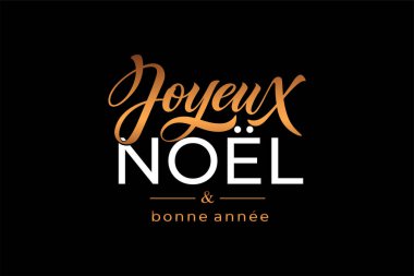 Joyeux Noel ve Bonee Anne. Fransızca selamlarla dolu mutlu noel kartı şablonları. El çizimi harfler. Mutlu Noeller kartı tasarımı için tipografik metin içeren premium vektör çizimi