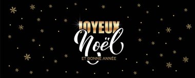 Joyeux Noel ve Bonee Anne. Fransızca selamlarla dolu mutlu noel kartı şablonları. El çizimi harfler. Mutlu Noeller kartı tasarımı için tipografik metin içeren premium vektör çizimi