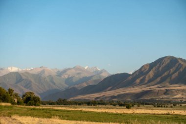 Güzel dağ manzarası. Altın manzara. Yaz sonu ve sonbahar başı şehir dışında..