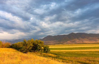 Güzel dağ manzarası. Altın manzara. Yaz sonu ve sonbahar başı şehir dışında..