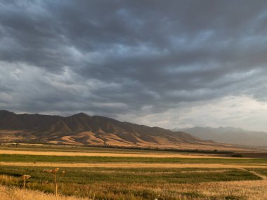 Güzel dağ manzarası. Altın manzara. Yaz sonu ve sonbahar başı şehir dışında..