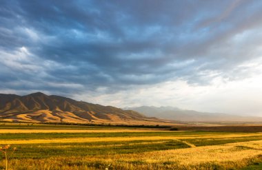 Güzel dağ manzarası. Altın manzara. Yaz sonu ve sonbahar başı şehir dışında..