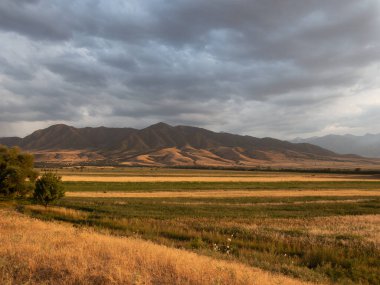 Güzel dağ manzarası. Altın manzara. Yaz sonu ve sonbahar başı şehir dışında..
