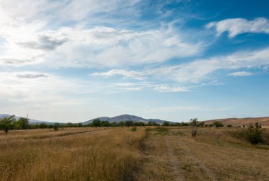 Güzel yaz dağ manzarası. Buğday tarlaları ve dağlar. Kırgızistan. Doğal arkaplan.