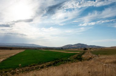 Güzel yaz dağ manzarası. Buğday tarlaları ve dağlar. Kırgızistan. Doğal arkaplan.