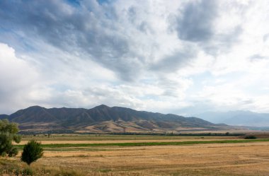 Güzel yaz dağ manzarası. Buğday tarlaları ve dağlar. Kırgızistan. Doğal arkaplan.