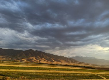 Güzel dağ manzarası. Altın manzara. Yaz sonu ve sonbahar başı şehir dışında..