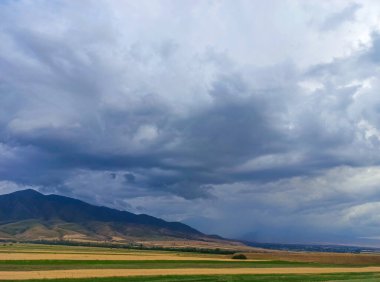 Yılın arka planında buğday kulakları. Buğday tarlaları donuyor. Kırgızistan.