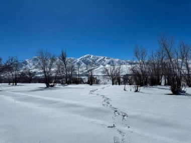 Kırgızistan dağlarında karlı bir ovada ayak izleri. Açık gökyüzü ve karla kaplı zirveler sakin ve engin boşluklardan oluşan bir atmosfer yaratır.