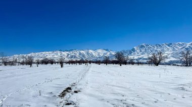 Kırgızistan dağlarında karlı bir ovada ayak izleri. Açık gökyüzü ve karla kaplı zirveler sakin ve engin boşluklardan oluşan bir atmosfer yaratır.