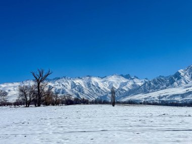 Kırgızistan dağlarında karlı bir ovada ayak izleri. Açık gökyüzü ve karla kaplı zirveler sakin ve engin boşluklardan oluşan bir atmosfer yaratır.