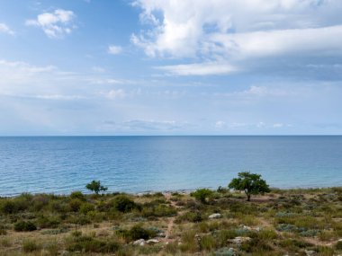 Dağ gölü Issyk-Kul 'un sakin suları mavi gökyüzü ve bitki örtüsüne karşı. Kırgızistan 'da rahatlama ve turizm için mükemmel bir yer..