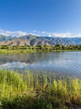 Yeşil vadiler ve görkemli dağlarla çevrili sessiz bir dağ gölü Issyk-Kul. Kırgızistan 'da turizm ve huzurlu dinlenme için mükemmel bir yer.