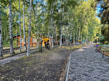 Kırgızistan 'da dinlenmek için düzgün yolları ve ahşap kulübeleri olan bir huş ağacı koruluğu. Yürümek ve doğada huzur bulmak için mükemmel bir yer.