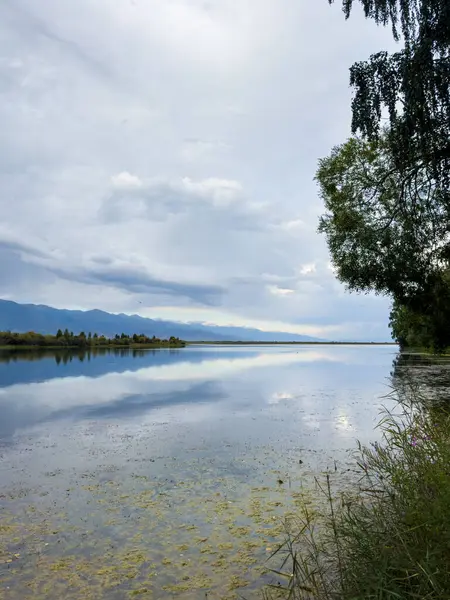 Yeşil vadiler ve görkemli dağlarla çevrili sessiz bir dağ gölü Issyk-Kul. Kırgızistan 'da turizm ve huzurlu dinlenme için mükemmel bir yer.