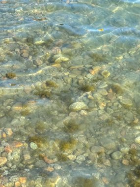 Yeşil vadiler ve görkemli dağlarla çevrili sessiz bir dağ gölü Issyk-Kul. Kırgızistan 'da turizm ve huzurlu dinlenme için mükemmel bir yer.