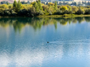 Yeşil vadiler ve görkemli dağlarla çevrili sessiz bir dağ gölü Issyk-Kul. Kırgızistan 'da turizm ve huzurlu dinlenme için mükemmel bir yer.