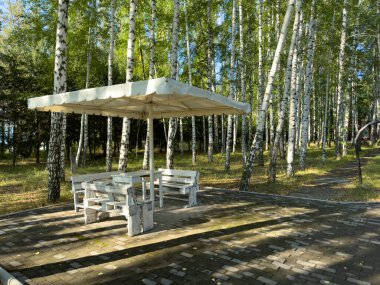 Kırgızistan 'da dinlenmek için düzgün yolları ve ahşap kulübeleri olan bir huş ağacı koruluğu. Yürümek ve doğada huzur bulmak için mükemmel bir yer.