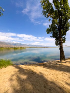 Yeşil vadiler ve görkemli dağlarla çevrili sessiz bir dağ gölü Issyk-Kul. Kırgızistan 'da turizm ve huzurlu dinlenme için mükemmel bir yer.