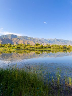 Yeşil vadiler ve görkemli dağlarla çevrili sessiz bir dağ gölü Issyk-Kul. Kırgızistan 'da turizm ve huzurlu dinlenme için mükemmel bir yer.