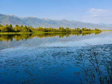 Yeşil vadiler ve görkemli dağlarla çevrili sessiz bir dağ gölü Issyk-Kul. Kırgızistan 'da turizm ve huzurlu dinlenme için mükemmel bir yer.