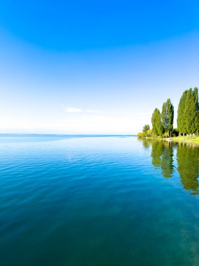 Issyk-Kul gölünün kıyısında durgun sulara yansıyan yüksek ağaçlar. Mavi gökyüzü ve derin mavi gölgelerle aydınlık güneşli bir gün..