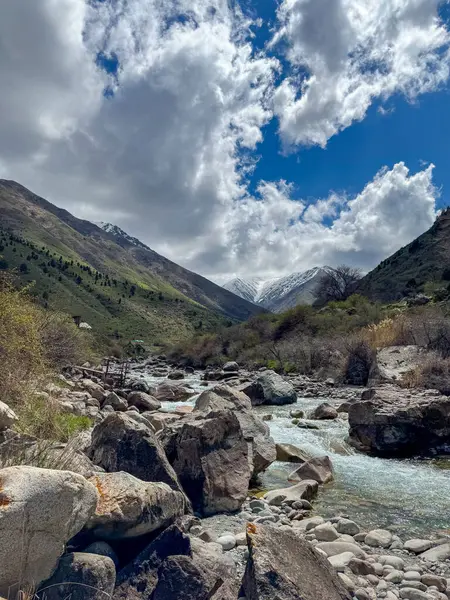 Kırgızistan, Aladin Vadisi 'nde bir dağ nehri, temiz suyla çevrili, büyük kayalar ve bulutlu bir gökyüzünün altında yeşil yamaçlarla çevrili..