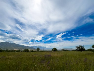 Kırgızistan 'daki dramatik bulutlu gökyüzünün altında yeşil otlar ve uzak dağ sıraları olan geniş bir bahar tarlası.