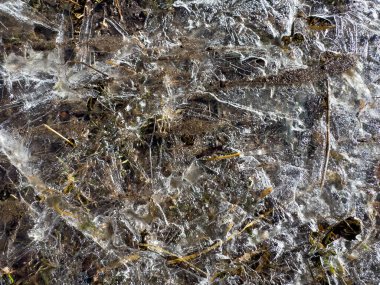 Çim ve hava kabarcıkları şeffaf buza hapsolmuş donmuş zemine yakın çekim. Doğal kış dokusu