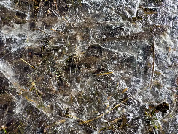 Çim ve hava kabarcıkları şeffaf buza hapsolmuş donmuş zemine yakın çekim. Doğal kış dokusu