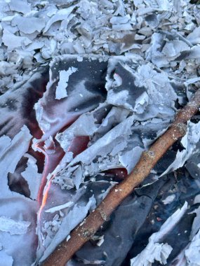 Doku, yerdeki yanmış yapraklardan çıkan beyaz gri kül. Doğal yanmış kağıt..