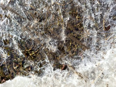 Çim ve hava kabarcıkları şeffaf buza hapsolmuş donmuş zemine yakın çekim. Doğal kış dokusu