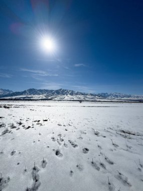 Kırgızistan 'da uzak sıradağları olan geniş karlı bir vadi. Parlak güneş ışığı ve derin mavi gökyüzü kış tarlaları üzerinde