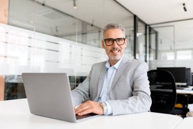 Ofiste dizüstü bilgisayar kullanarak resmi olarak gülümseyen kendine güvenen olgun iş adamı CEO 'su. Kameraya bakan gri saçlı adam, erkek ofis çalışanı profili.