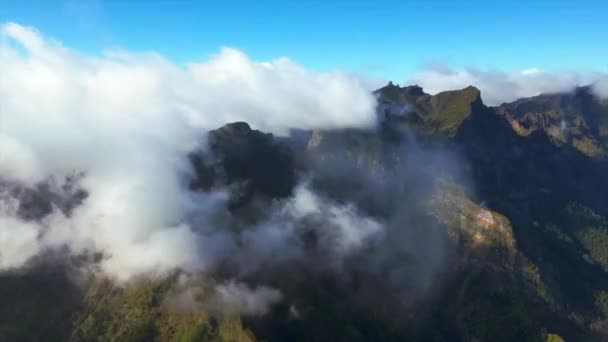 Drone Capture Video Van Madeira Majesteit Van Natuur Volle Toeren — Stockvideo