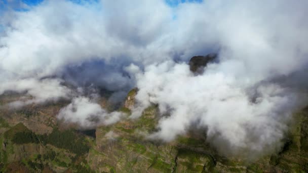 Потрясающий Вид Высоты Птичьего Полета Запечатленный Беспилотником Летящим Над Мадейрой — стоковое видео