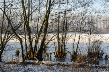 Ağaçlar ve nehirlerle kaplı kış manzarası