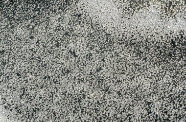 Gri beton duvar arka planı