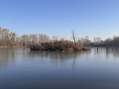 Kurumuş devedikenleri güneşte donmuş.